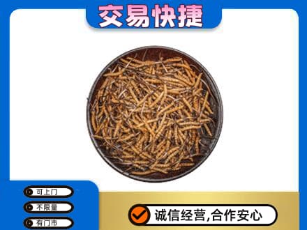 鸡西礼品回收虫草.jpg